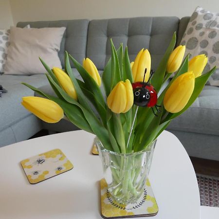 Ferienwohnung Suenteltraum Hamelin Buitenkant foto