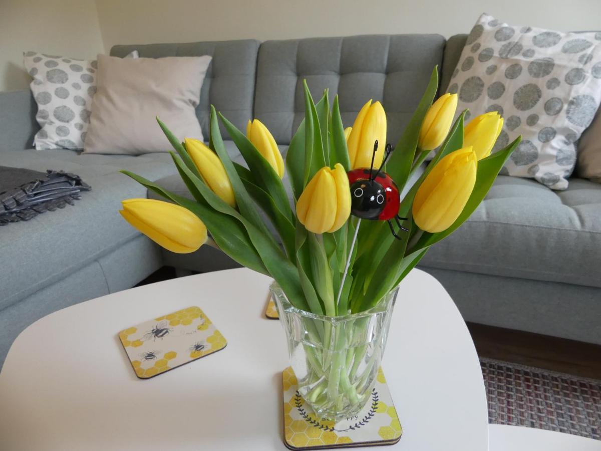 Ferienwohnung Suenteltraum Hamelin Buitenkant foto